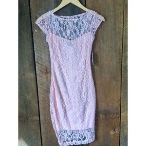 Blush Lace Bodycon Dress! NWT!
