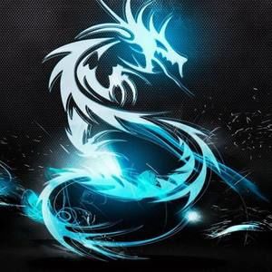 Meet your Posher, Muhammad