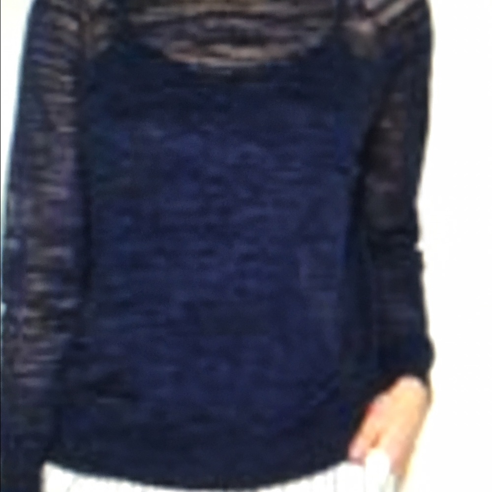 Navy Joie Emari F sweater