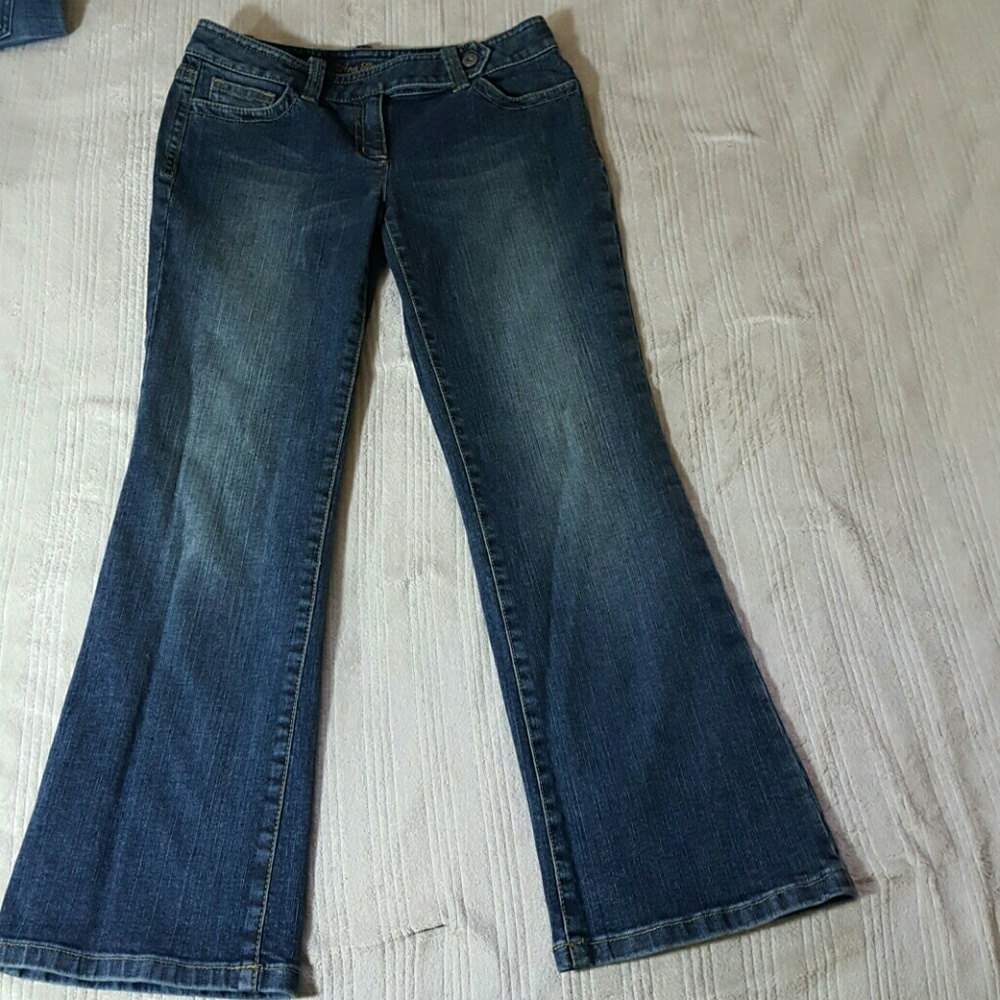 ANN TAYLOR MODERN FIT PETIT 4 JEANS - SIZE 26/28