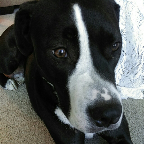 Meet your Posher, Julie - Picture 2 of 2