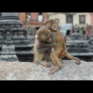 Meet your Posher, Nabila