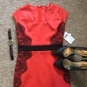 🔥 Fire Sale 🔥 NWT Coral & Lace Sheath Dress