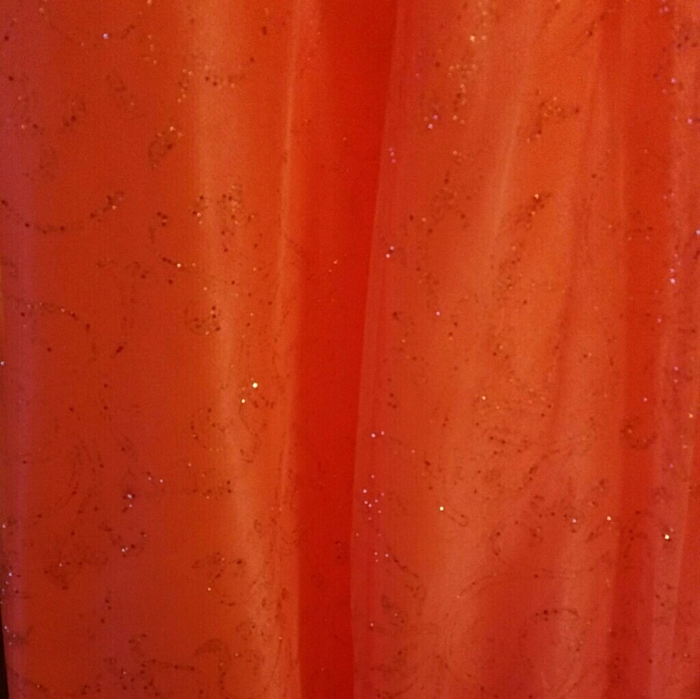 Prom Dress - Picture 5 of 5