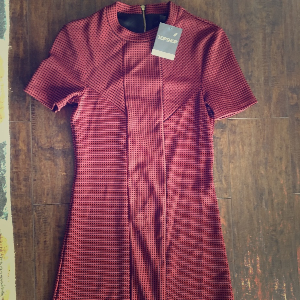 Topshop dress