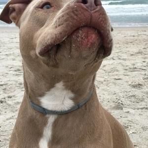 Meet your Posher, Edward