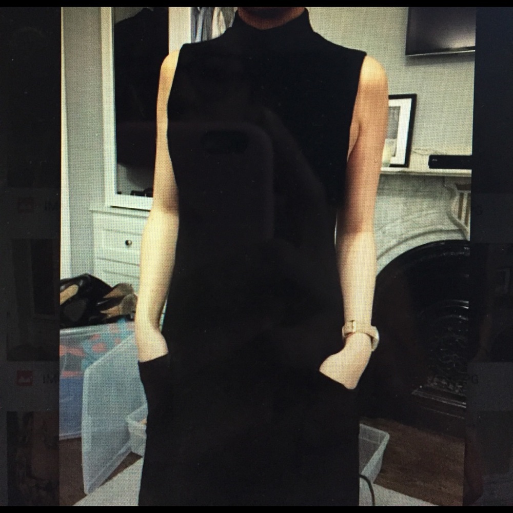 Theory sleeveless dress with mock neck