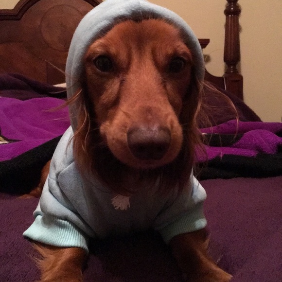 Meet your Posher, Kristina - Picture 5 of 8