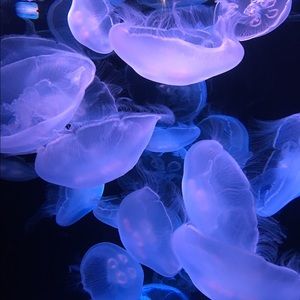 Meet your Posher, Miriam