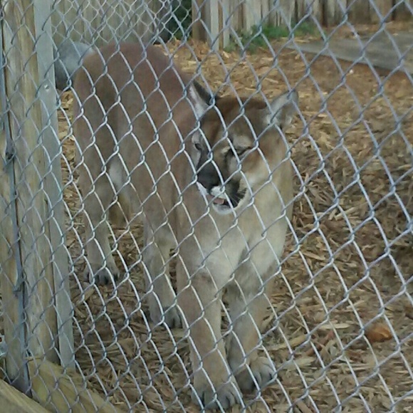 Meet your Posher, Robert - Picture 1 of 1