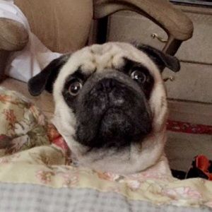 Meet your Posher, Kelly