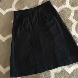American Eagle Lined Cotton Skirt