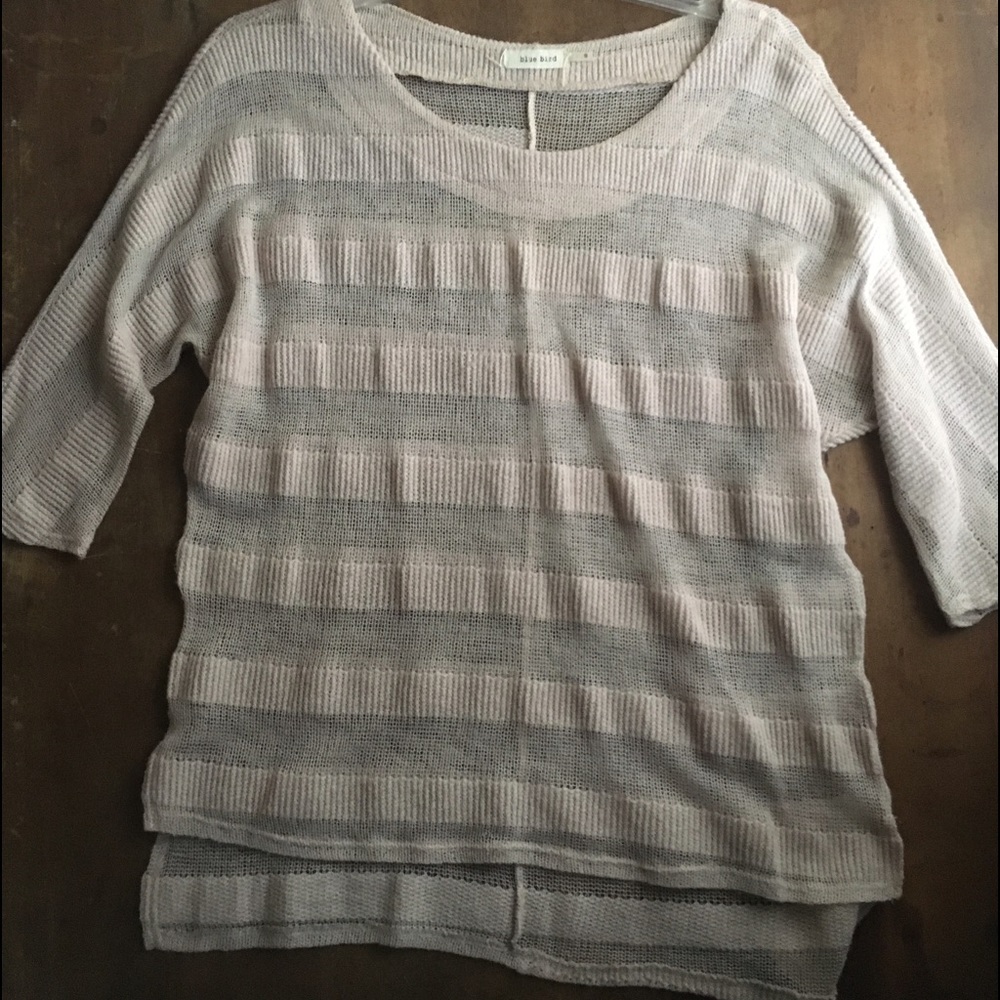 Blue Bird Striped Thin Sweater