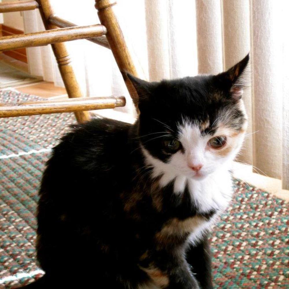 Meet your Posher, Cheryl