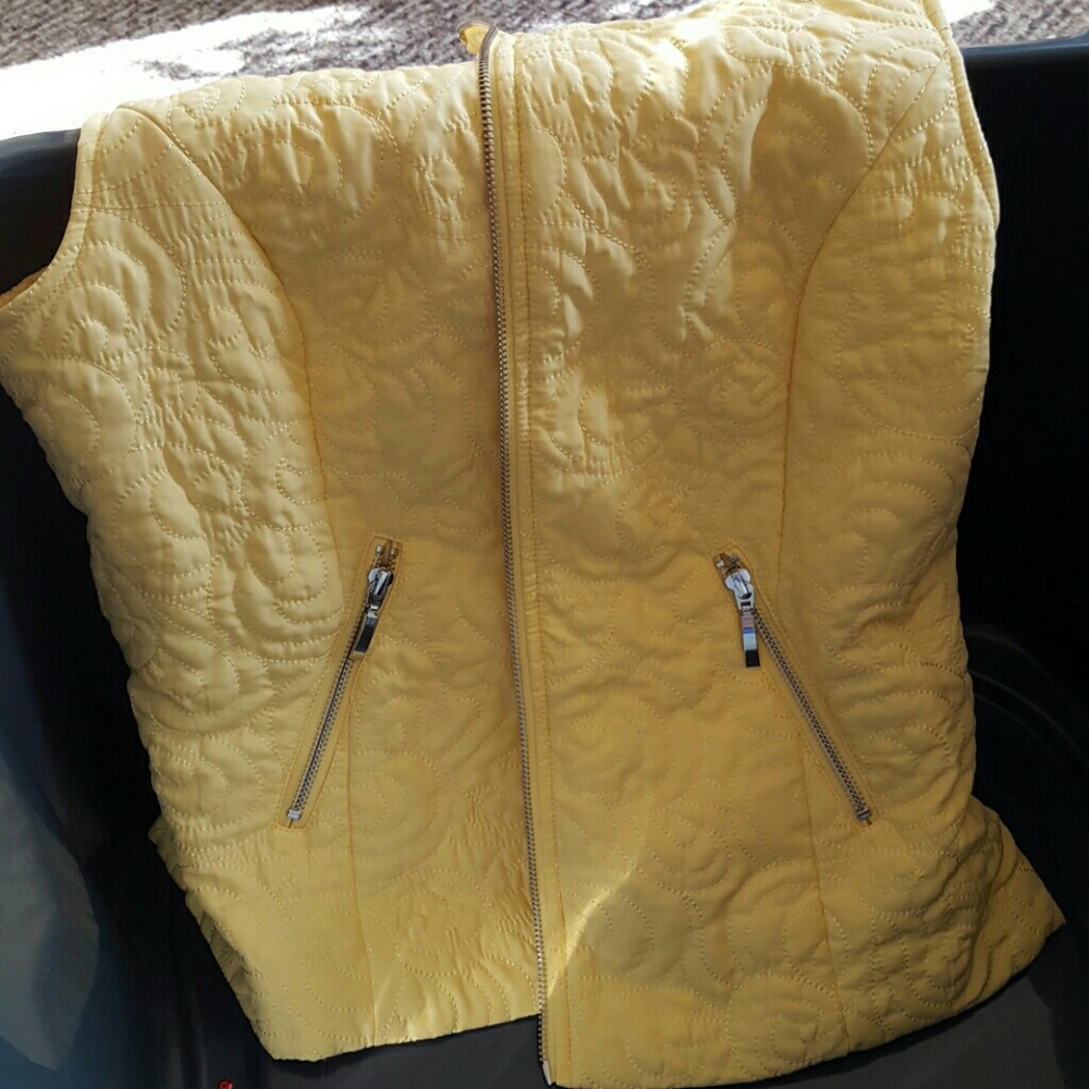 Vest