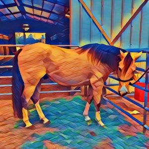 Meet your Posher, Teri