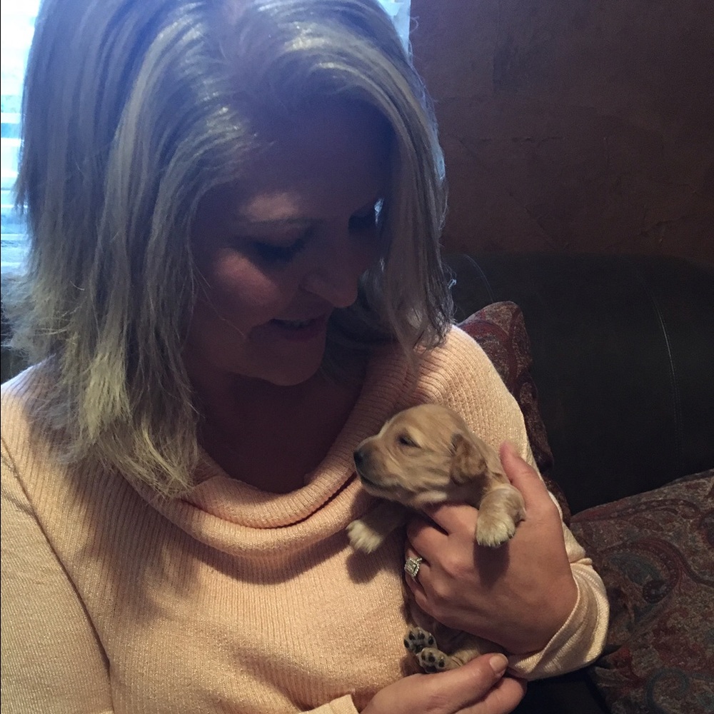 Meet your Posher, Renee