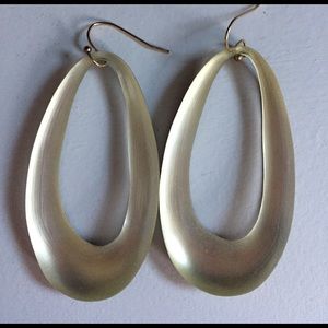 Alexis Bittar classic lucite earrings
