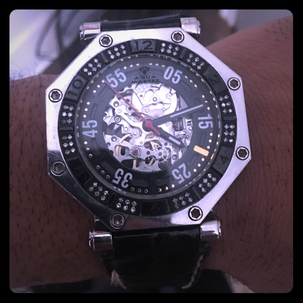 Aqua Master Watch