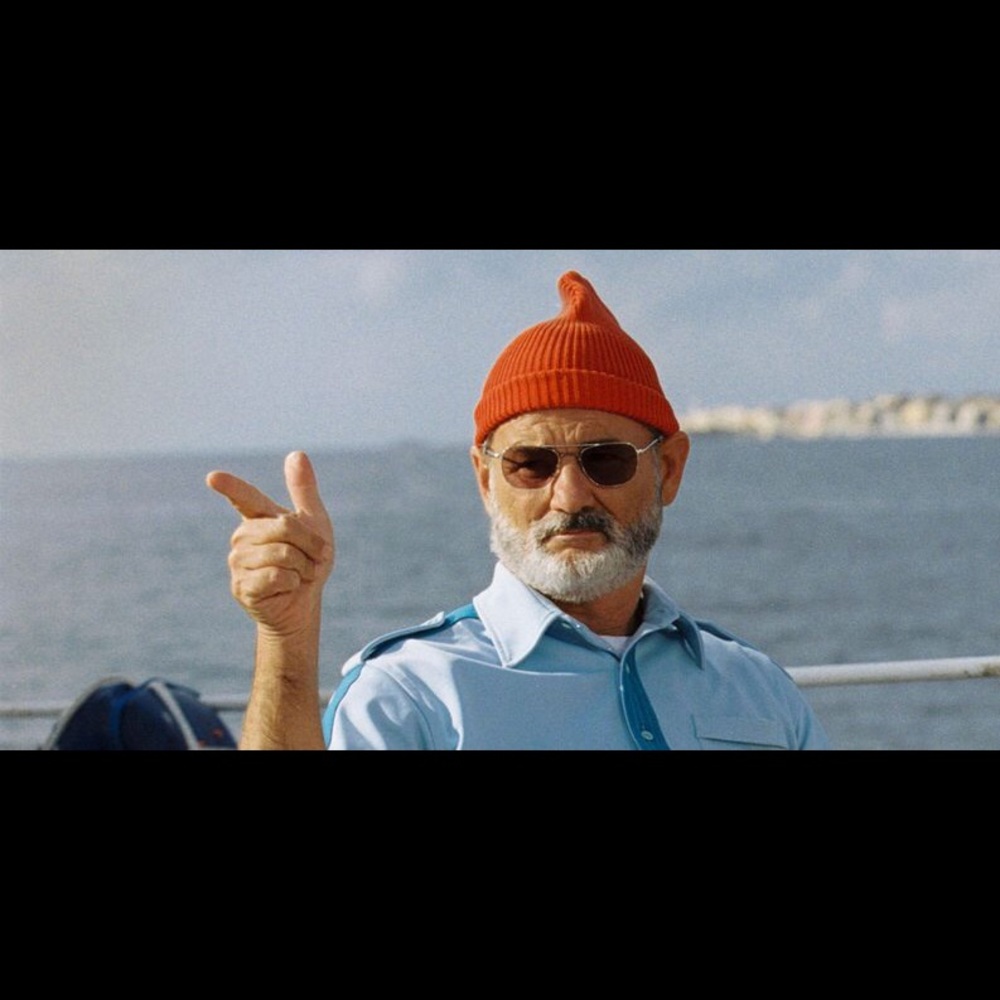 Meet your Posher, Lily