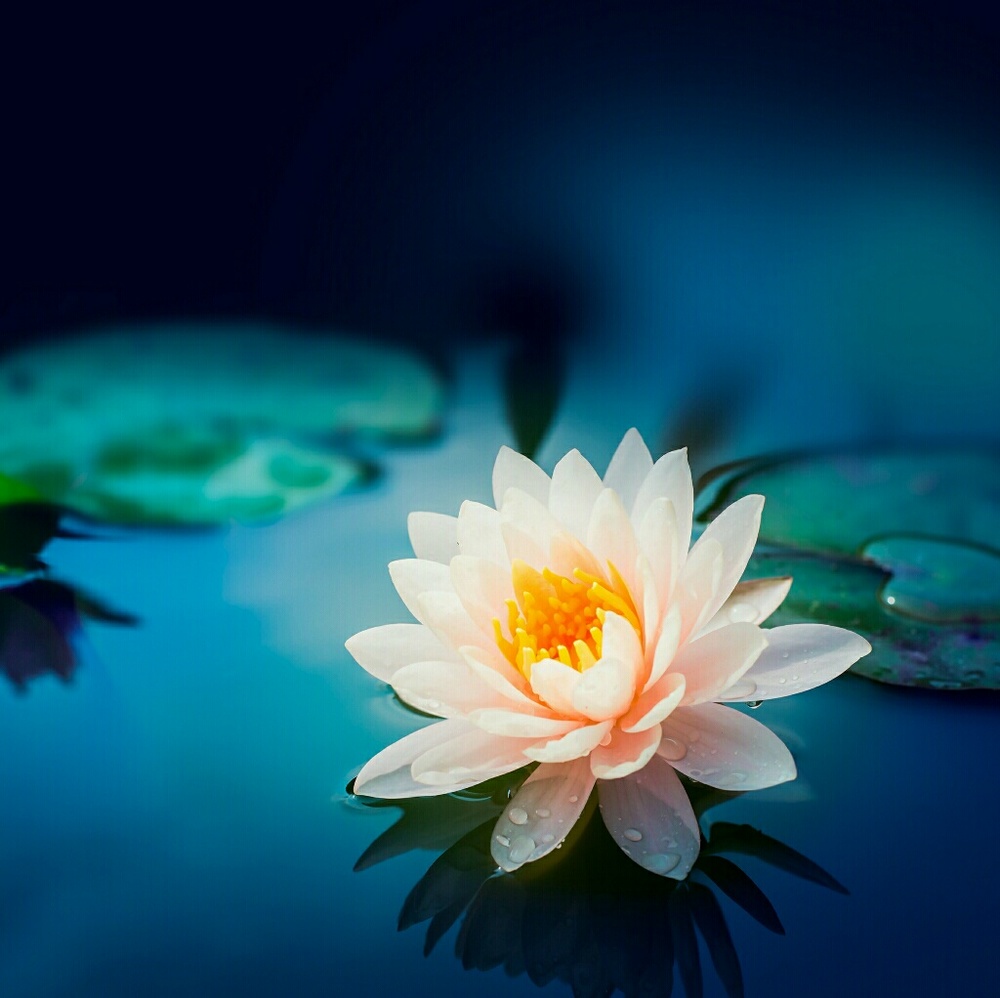 Meet your Posher, Kay