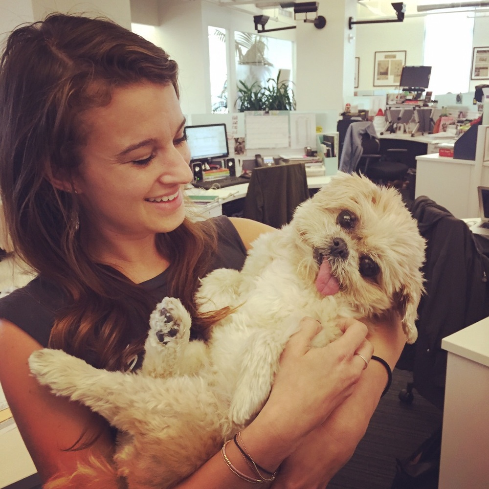 Meet your Posher, Alex