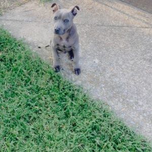 Meet your Posher, Nate