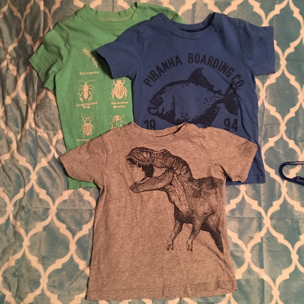 Carter's T Bundle