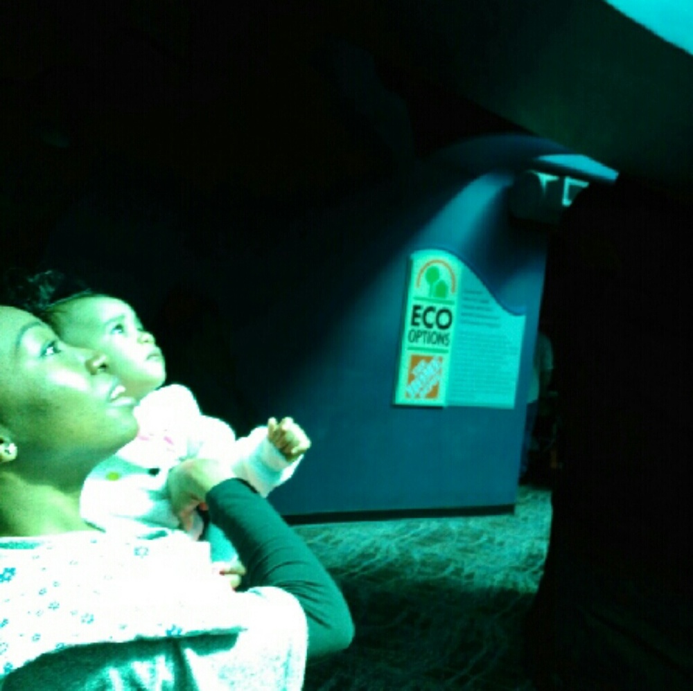 Meet your Posher, Sonya