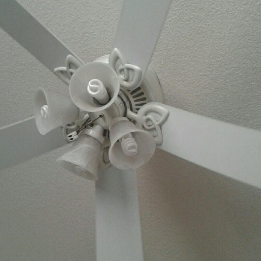 Meet your Posher, Helen