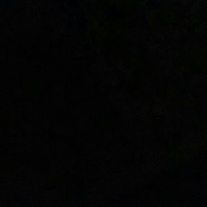 Meet your Posher, Lavelle