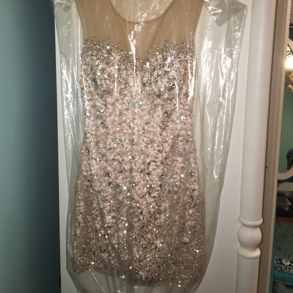 Terani dress