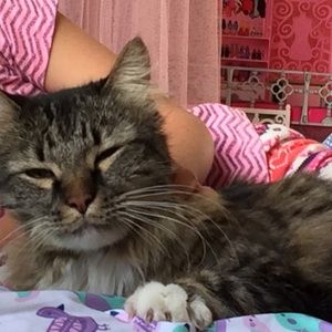 Meet your Posher, Sara