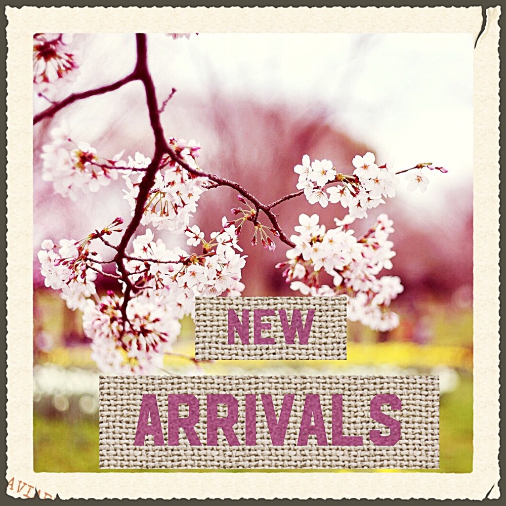 🌸🌷welcome friends! 🌸🌻