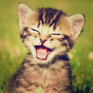 Welcomes all Offers!!! ❤