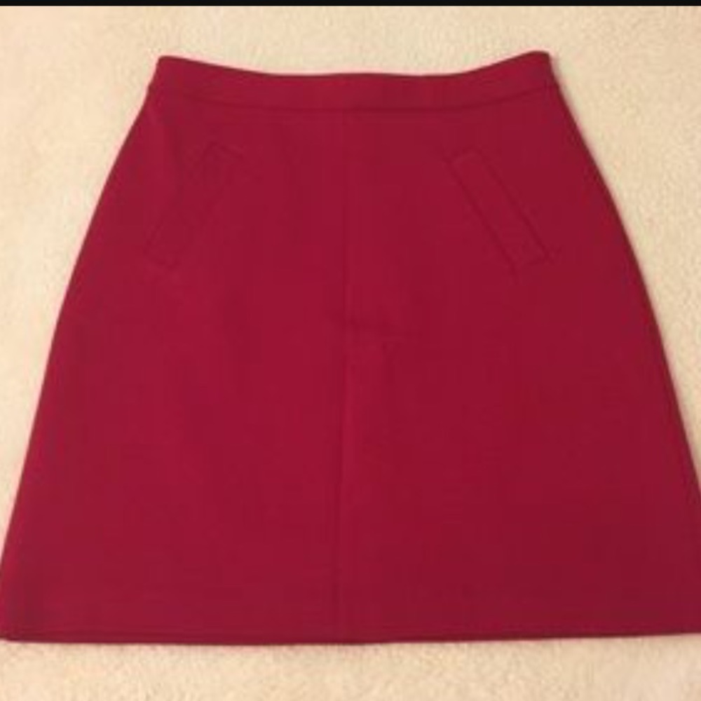 Donna Ricco New York Fitted Pencil Skirt