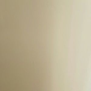 Meet your Posher, Vince