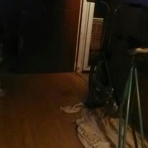 Meet your Posher, Larry