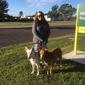 Meet your Posher, Sandy