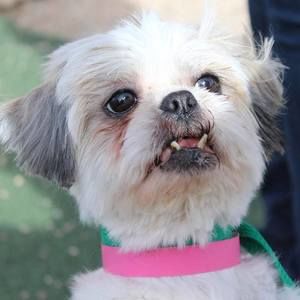 Meet your Posher, Tyler