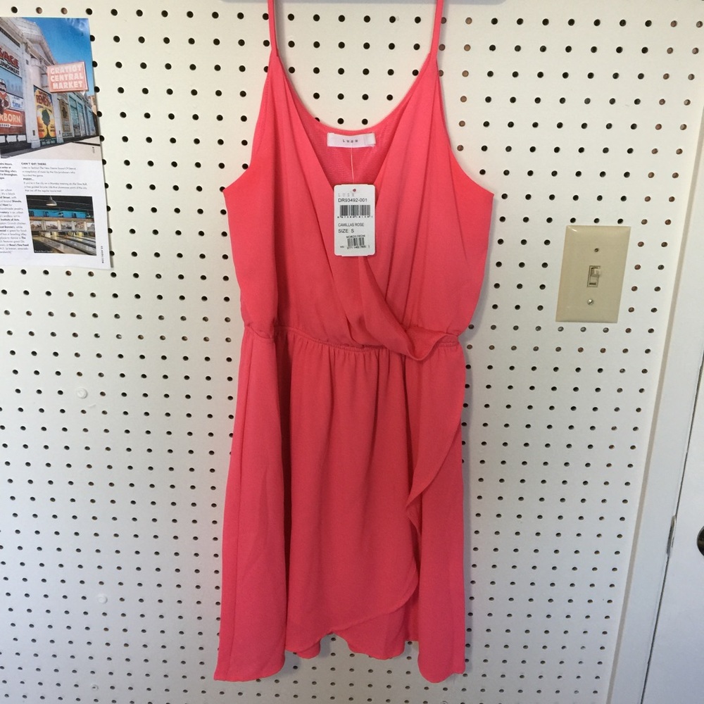 NORDSTROM CAMILLAS ROSE MINI DRESS