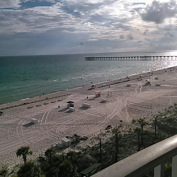 Meet your Posher, Brandy - Picture 1 of 1