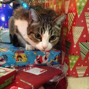 Meet your Posher, Juliana