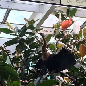 Meet your Posher, Farah