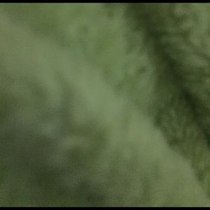 Meet your Posher, Edwine