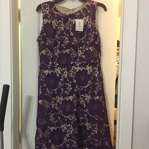 Eci New York size 8 dress