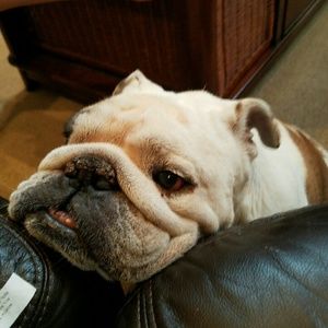 Meet your Posher, Kelly