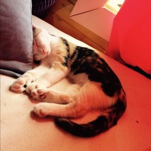 Meet your Posher, Tessa