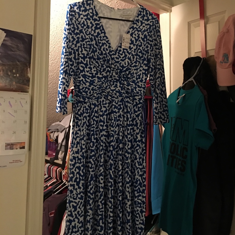NWT Blue/white dress