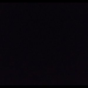 Meet your Posher, Delaney